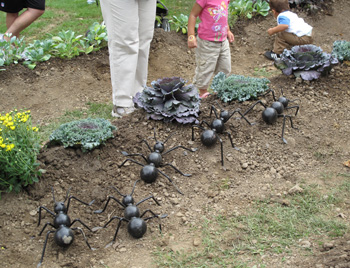 Giant Ants from Storywalk