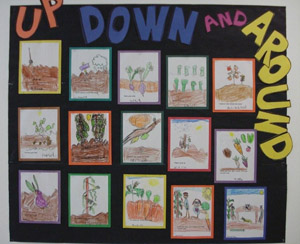 Photo of kid drawings of gardens